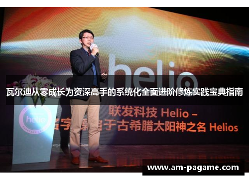 瓦尔迪从零成长为资深高手的系统化全面进阶修炼实践宝典指南