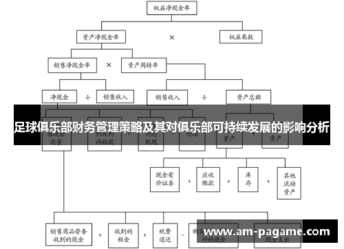 足球俱乐部财务管理策略及其对俱乐部可持续发展的影响分析 足球俱乐部财务管理策略及其对俱乐部可持续发展的影响分析