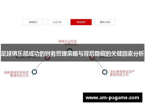 足球俱乐部成功的财务管理策略与背后隐藏的关键因素分析 足球俱乐部成功的财务管理策略与背后隐藏的关键因素分析