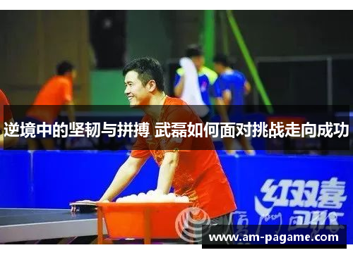 逆境中的坚韧与拼搏 武磊如何面对挑战走向成功